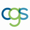 CGS information technology Srl