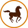 Chaabi Bank Nederland