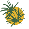 Chacara Tropical