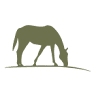 Chacras del Bragado