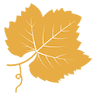 Champagne Terroir