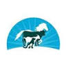 CHANDLER ANIMAL CLINIC LLC