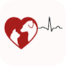 Charleston Veterinary Cardiology