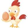 Charlotte's Chickens