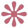 Charlotte Staff Flowers