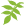 Chata Jasan
