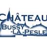 Château de Bussy-la-Pesle