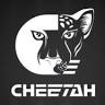 Cheetah Bikes