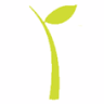 Cherry Hill Montessori