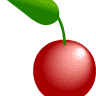 Cherry William J DDS