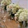 Chesapeake Blooms