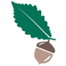Chestnut Oak Dental