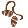 Chheda Dry Fruits