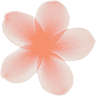 Croatia Wedding Planner - Chic Croatia