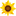 Kloeckner Preferred Flowers