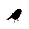 Chickadee Bakeshop