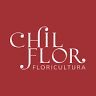 Chilflor Production and Flower Trade