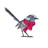 Chilled Wrens Boutique