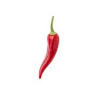 Chilli Print s.r.o.
