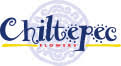 Comercializadora Chiltepec Central de abastos