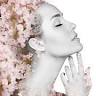 chique beauty yallingup