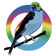 Chirapa Manta