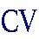 Choi's Valley Cleaners