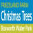 Friezeland Christmas Tree Farm