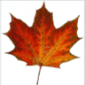 Canadian Hardware & Tools