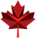 Canadian International college