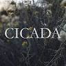 CICADA
