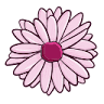 cicekmi.com