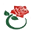 Doğa çiçekçilik