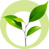 Chemical fertilizer Navodari