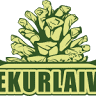 Čiekurlaivas, SIA