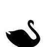 Cigno Nero