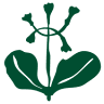 Parco Nazionale del Cilento, Vallo di Diano e Alburni