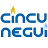 Cincunegui Instalaciones S L
