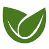 Cinnamon Leaf Food Hall