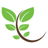 Cinnamon Tree Cafe