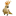 Cinque Continenti