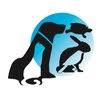 Circle of Friends Veterinary