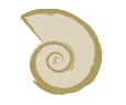 Circles Art&Jewelry