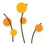 Citrus Salon
