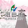 新田義宗の墓 五輪塔（沼田市指定重要文化財）