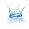 City Distribution Ltd