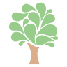 City of Oaks Funeral Home & Cremations