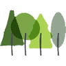 Clifford Jones Timber Ltd