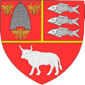 Consiliul Județean