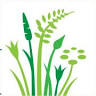 Clandon Wood Nature Reserve & Natural Burial Ground